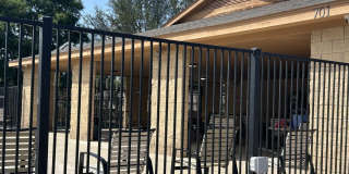1938 Spotted Owl Gallery 29