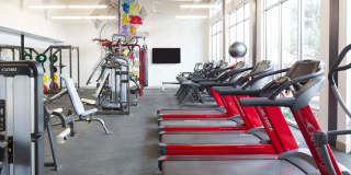 Cypress at Trinity Groves Gallery 5