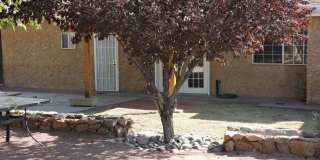 Spacious 3bed 2bath with Large Backyard! Gallery 36