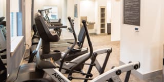 Magnolia at West Lemmon Gallery 2