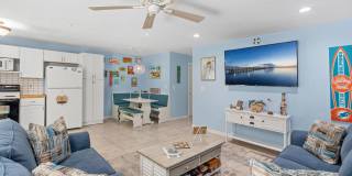 Dolphin Beach Gallery 12