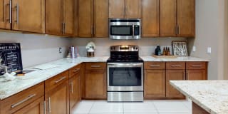 Luxembourg Gallery 4