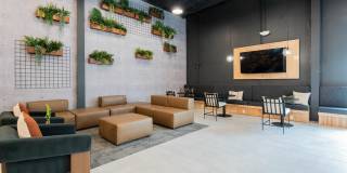 Maven on Broadway Gallery 10
