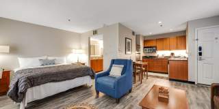 Vivo Living Charlotte Gallery 28