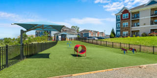 Hawthorne at Weaverville Gallery 21