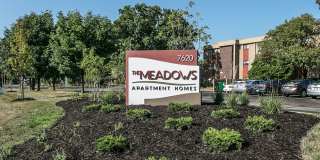 The Meadows Gallery 29