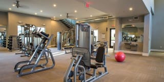 The Lincoln Scottsdale Gallery 45