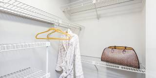 Solana Vista Gallery 41