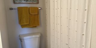 2510 Plumtree Grove - 1 Gallery 15