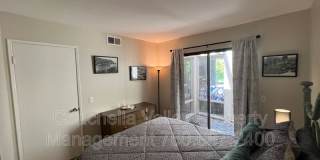 643 N Via Acapulco Gallery 34
