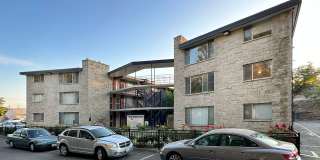 Dolphin Apartments Gallery 41