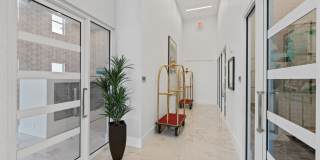 The Vivien Gallery 88