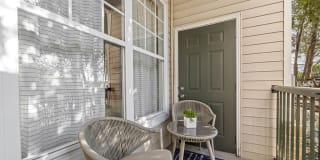 Sofi Lyndhurst Gallery 12