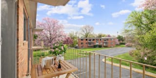 International Apartments Gallery 2