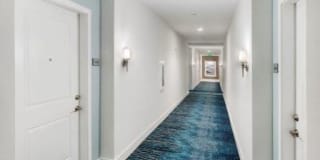 Town Westshore Gallery 23