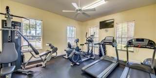 3605 Cedar Oak Drive Gallery 44