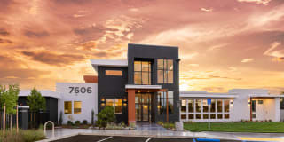 Solasta Gallery 1