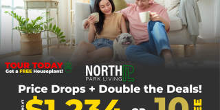 North Park Living Gallery 63