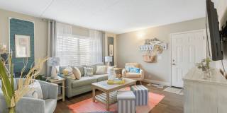 Sea Oats Sea Oats Gallery 92