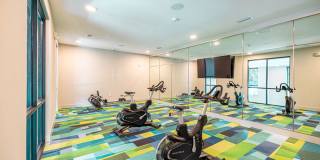 Tropia Wellen Park Gallery 3