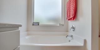 229 Camellia Dr Gallery 18