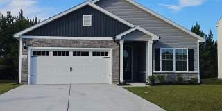 Brand new 3 bedroom 2 bath home in the Southwater Village community - Hampstead Gallery 1