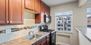 831-861 Cherry Gallery 5