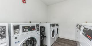 Vivo Living Charlotte Gallery 3