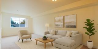 Forest Hills Gallery 1