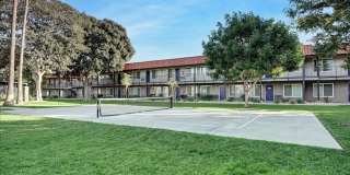 Tierra Palms Gallery 94