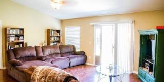 11542 WANDERING PINES Trail W Gallery 2