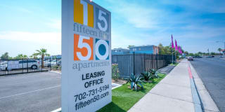 Fifteen 50 Gallery 23