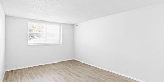 Proximity Apartment Homes Gallery 13