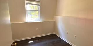 10050 WOOD SORRELS Lane Gallery 20