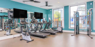 Arboretum West Gallery 8