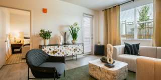 Allaso Olivine Gallery 25
