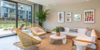 The Village Drey Gallery 55