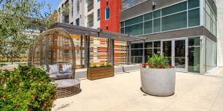 Vive on the Park Gallery 34