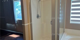 15177 Dandelion Gallery 23