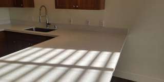Polo Villas Gallery 4