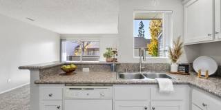 Aspire Rialto Gallery 20