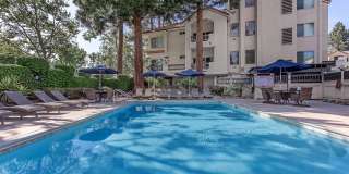 Paloma Vista Apartment Homes Gallery 2