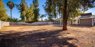 232 E Leah Lane Gallery 11