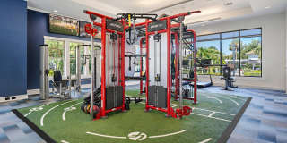 Citra at Windermere Gallery 24