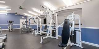 Renaissance Club Gallery 19