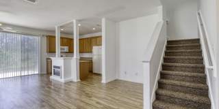 637 Mount Olympus Boulevard Gallery 24