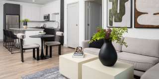 Legacy Metro 525 Gallery 9