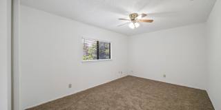 12811 HUNTING BEAR Gallery 25