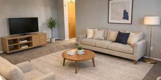 Kateenah Gallery 1