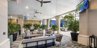 Maitland City Centre Gallery 12